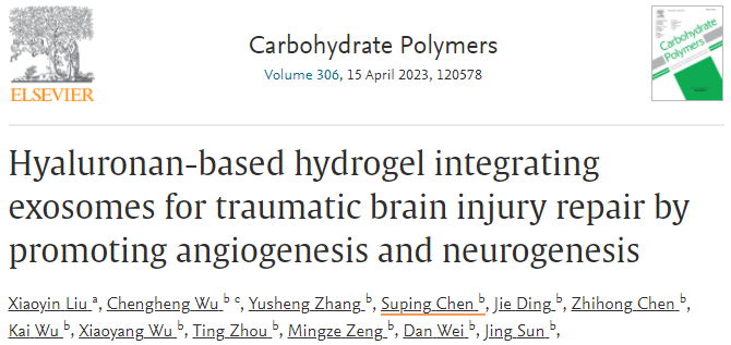 Carbohydr Polym|四川大学范红松/周良学：透明质酸水凝胶整合外泌体协同促进血管生成和神经发生实现颅脑创伤修复