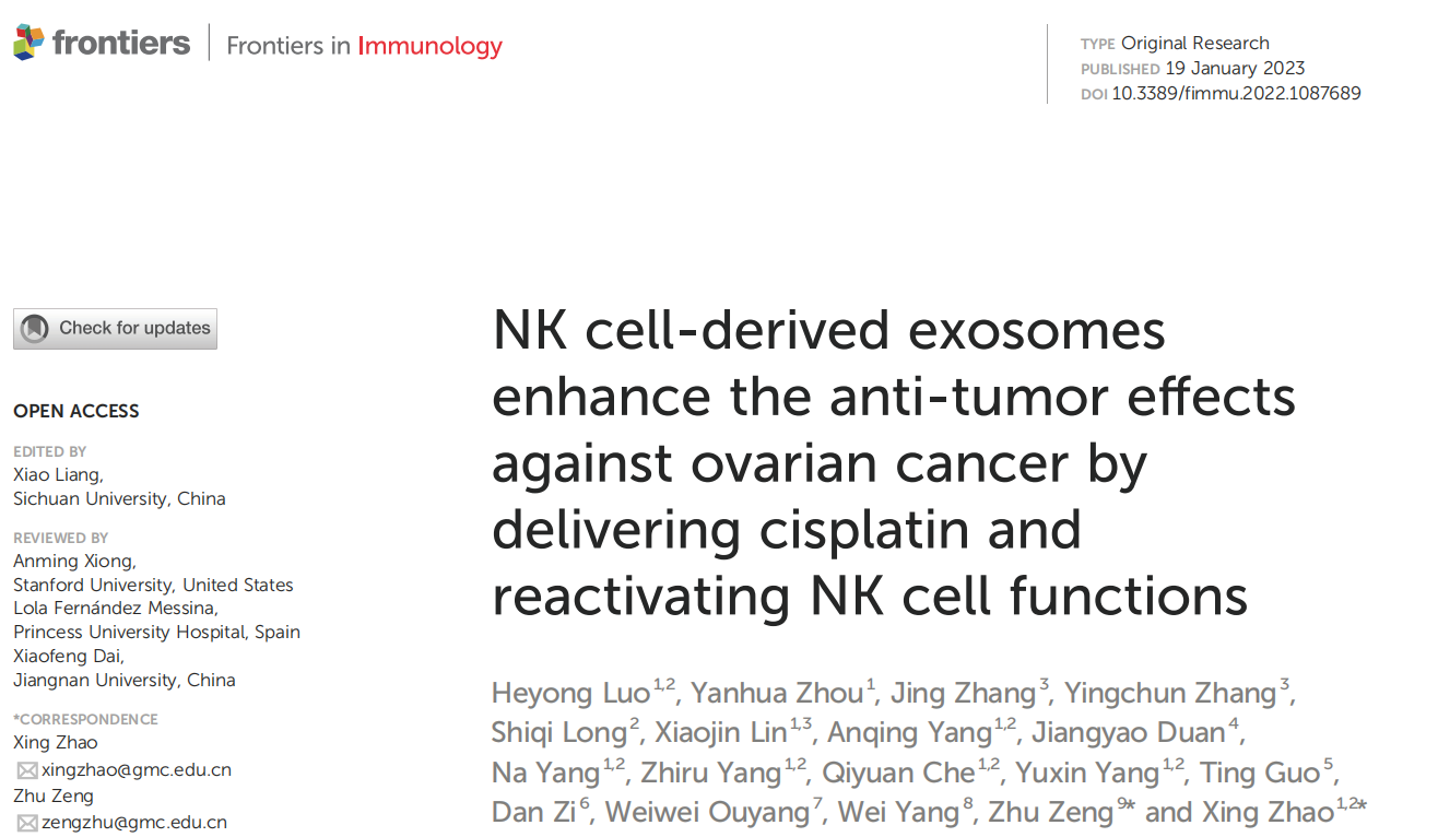 Front Immunol | NK细胞来源的外泌体通过递送顺铂并激活NK细胞功能来增强对卵巢癌的抗肿瘤作用