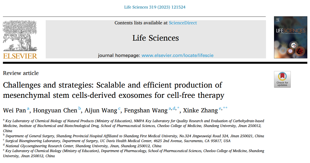 【综述】Life Sciences|山东大学药学院王凤山、张新科团队：规模化生产间充质干细胞来源外泌体面临的挑战及相应的策略