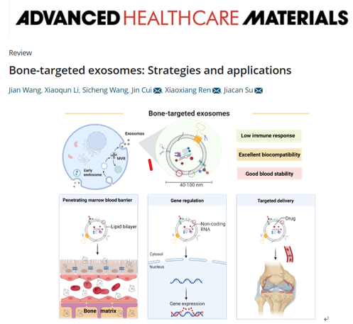 Adv. Healthcare Mater | 上海大学转化医学研究院苏佳灿教授课题组发表重要综述文章：骨靶向外泌体的策略及应用