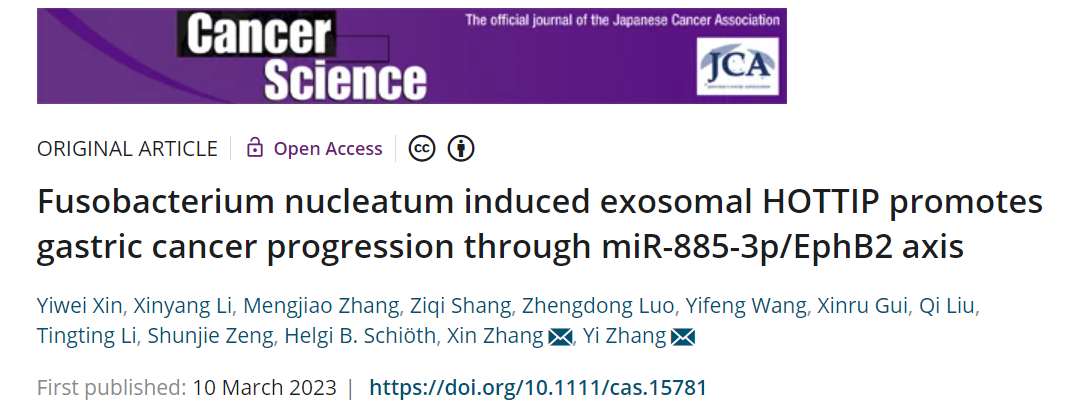 Cancer Sci| 山东大学齐鲁医院张欣/张义：具核梭杆菌诱导的外泌体HOTTIP促进胃癌进展