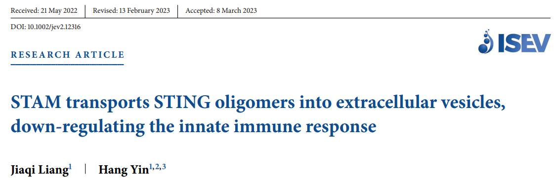 JEV：STING寡聚体转运到细胞外囊泡的机制，抑制先天免疫反应