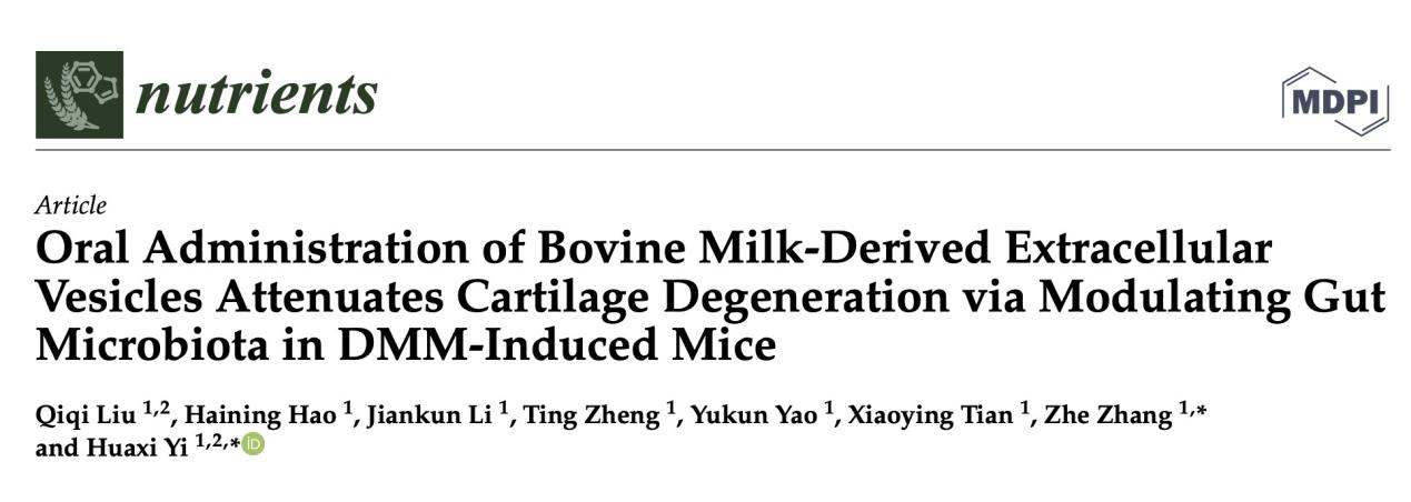 Nutrients | 中国海洋大学食品科学与工程学院易华西教授团队:口服牛乳细胞外囊泡通过调节DMM小鼠肠道菌群延缓软骨退化