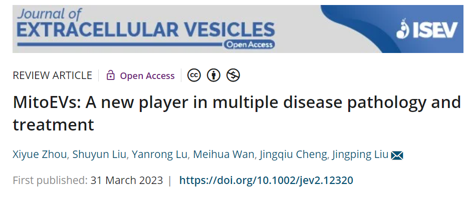JEV | 四川大学华西医院刘敬平团队：富含线粒体组分的细胞外囊泡（MitoEVs）：疾病发生和治疗中的新兴角色