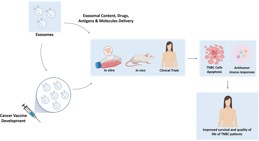 【综述】Small丨新兴纳米颗粒和外泌体技术用于三阴性乳腺癌治疗