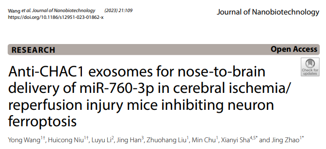 J Nanobiotechnology | 复旦大学赵静教授与沙先谊教授团队：抗HAC1外泌体可向脑缺血/再灌注损伤小鼠鼻脑递送miR-760-3p抑制神经元脱铁性贫血