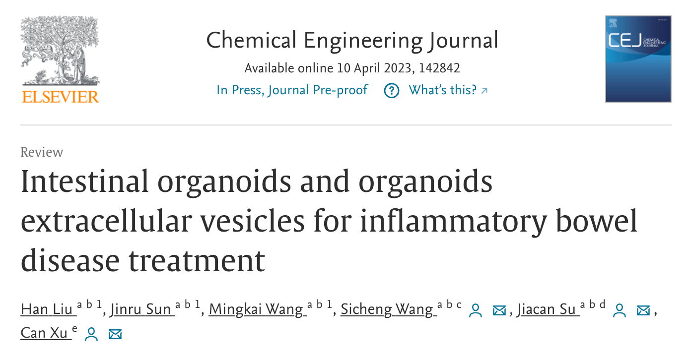 CHEM ENG J | 海军军医大学徐灿教授/上海大学苏佳灿团队发表重要文章：肠道类器官及类器官细胞外囊泡用于炎症性肠病的治疗