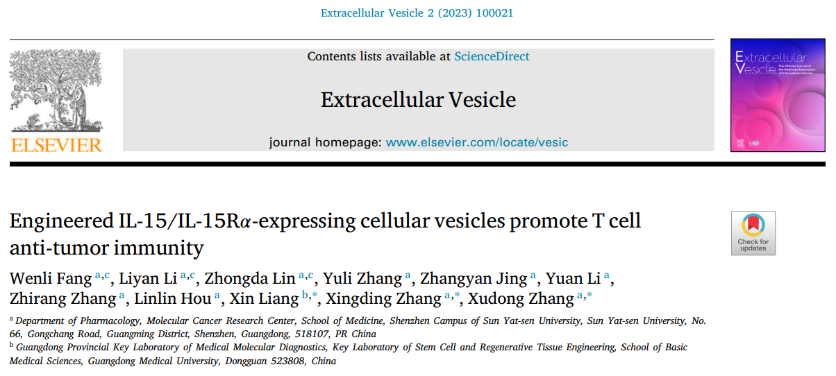 中山大学张旭东/张幸鼎Extracellular Vesicle：工程化细胞膜囊泡表达IL-15增强T细胞抗肿瘤免疫