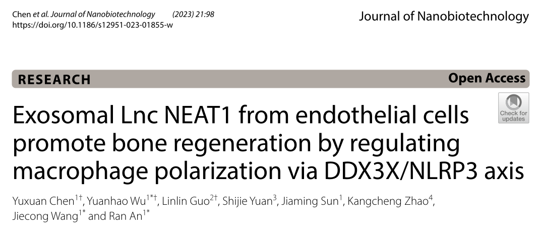 J Nanobiotechnology|华中科技大学安然/王介聪：内皮细胞外泌体Lnc NEAT1通过调节巨噬细胞极化促进骨再生