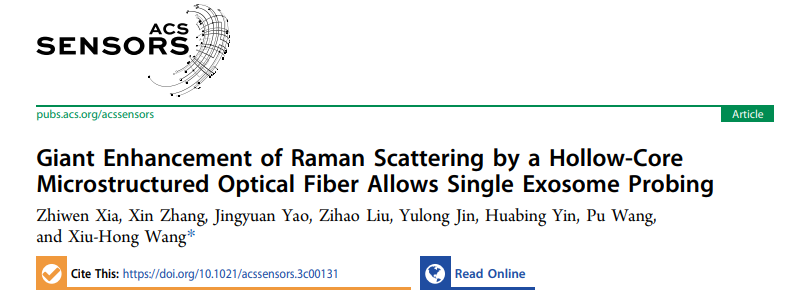 ACS Sensors | 北京工业大学王秀红教授团队：空芯微结构光纤拉曼增强效应实现高灵敏度癌症外泌体检测