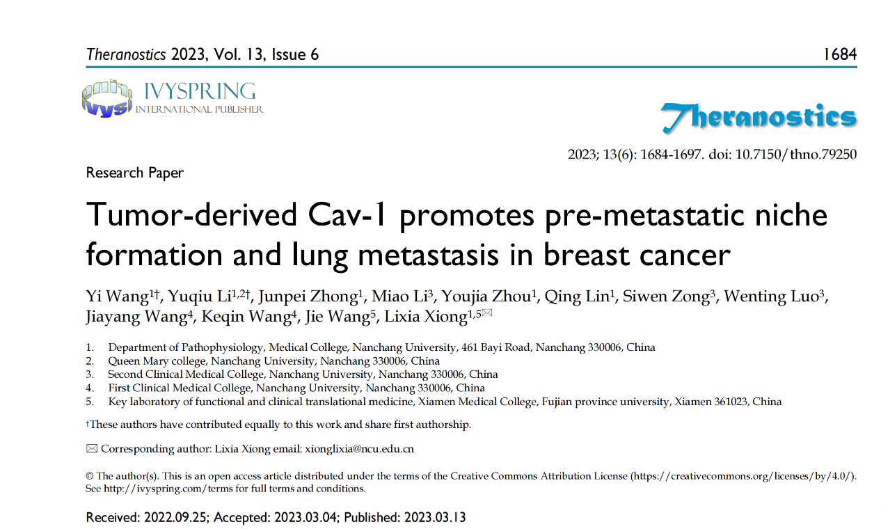 Theranostics | 南昌大学江西医学院熊丽霞教授团队发现肿瘤来源外泌体窖蛋白-1促进乳腺癌肺预转移微环境形成