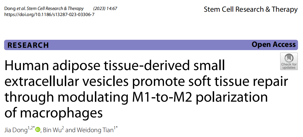 Stem Cell Res Ther│四川大学华西口腔医院田卫东教授团队：人源性脂肪组织胞外囊泡通过调节巨噬细胞极化促进软组织再生