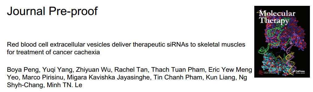 Mol Ther：红细胞EVs将治疗性siRNA递送至骨骼肌以治疗癌症恶病质