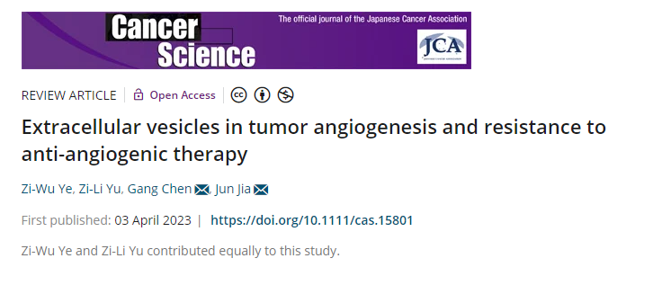 <综述>Cancer Sci｜武汉大学口腔医学院：细胞外囊泡在肿瘤血管生成和抗血管生成治疗抵抗中的作用