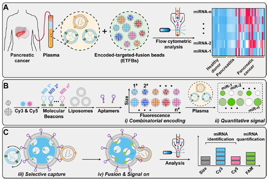 Anal. Chem.｜吴玲玲研究团队：编码融合介导的肿瘤来源细胞外囊泡的miRNA特征分析用于胰腺癌诊断