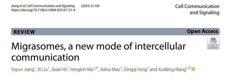 Cell Commun Signal | 江苏大学汪雪峰、马永宾团队：迁移体，一种细胞间通讯的新模式