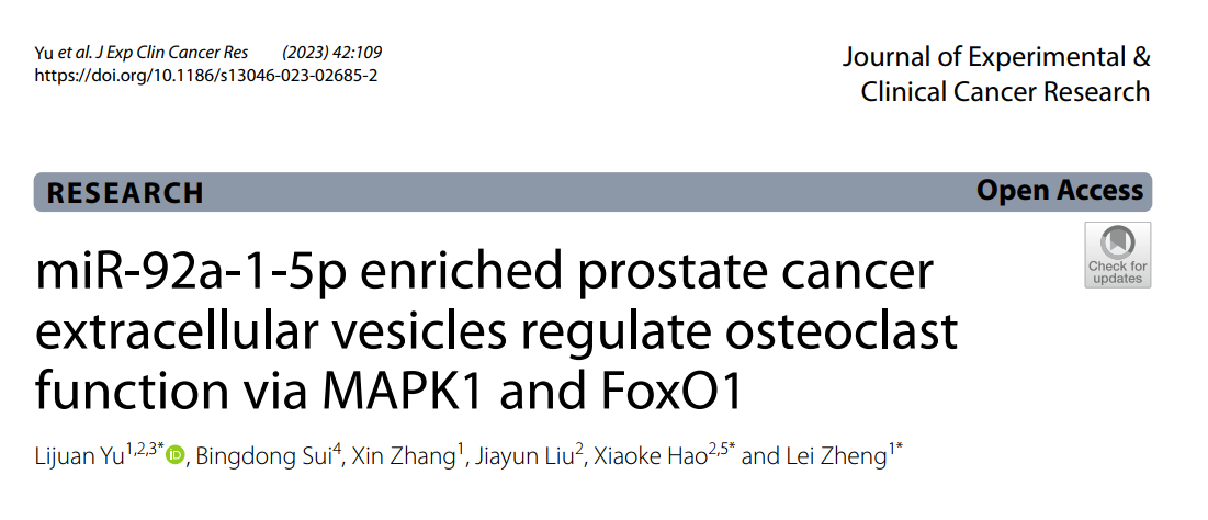 J Exp Clin Cancer Res|南方医科大郑磊/第四军医大郝晓柯：miR-92a-1-5p富集的EV调控破骨细胞功能