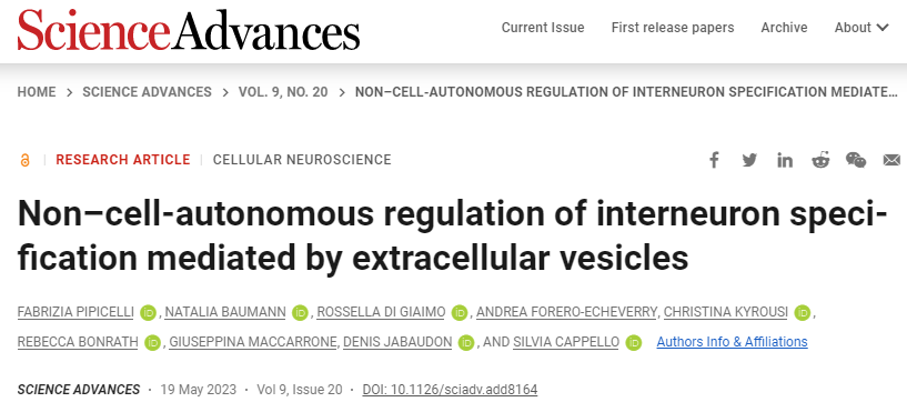 Sci Adv：细胞外囊泡介导非细胞自主调节的中间神经元分化