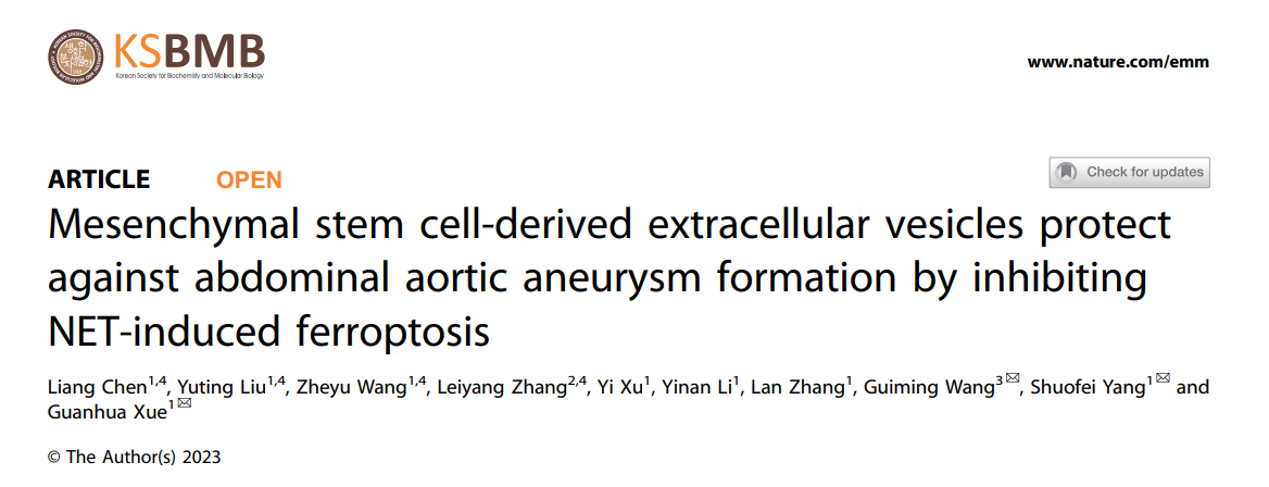 Exp Mol Med|上交医学院附属仁济医院杨硕菲/薛冠华：MSC-EV抑制中性粒细胞NETs诱导的脱铁作用防止腹主动脉瘤形成