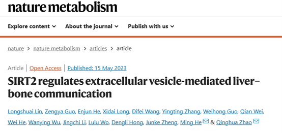 Nature Metabolism|贺明/赵庆华教授团队揭示衰老肝-骨器官间通讯新机制