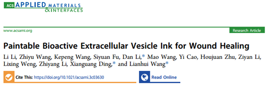 ACS Appl Mater Interfaces| 南京邮电大学汪联辉/丁显光/南大鼓楼医院：用于伤口愈合的EV生物活性墨水