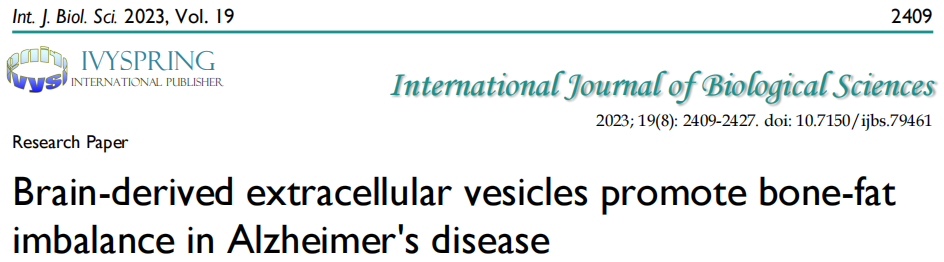 Int J Biol Sci | 中南大学湘雅医院沈璐团队/谢辉团队：阿尔茨海默病的脑源性EVs介导“脑-骨轴”加重骨质疏松症