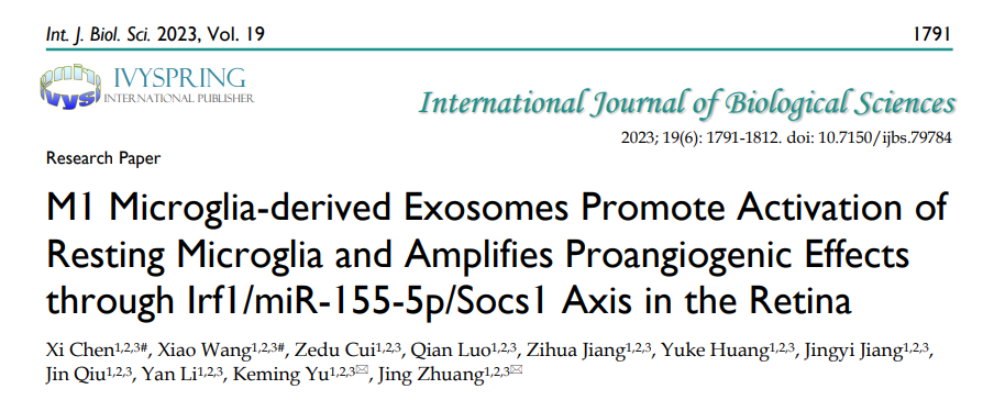 Int J Biol Sci | 中山大学中山眼科中心余克明/庄菁：M1型小胶质细胞源性外泌体促进炎症级联放大和视网膜血管新生