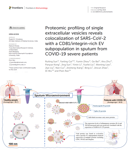 Front Immunol|呼吸疾病国重等合作团队：单囊泡水平上解析新冠重症患者痰液中与SARS-CoV-2病毒共定位的囊泡亚群