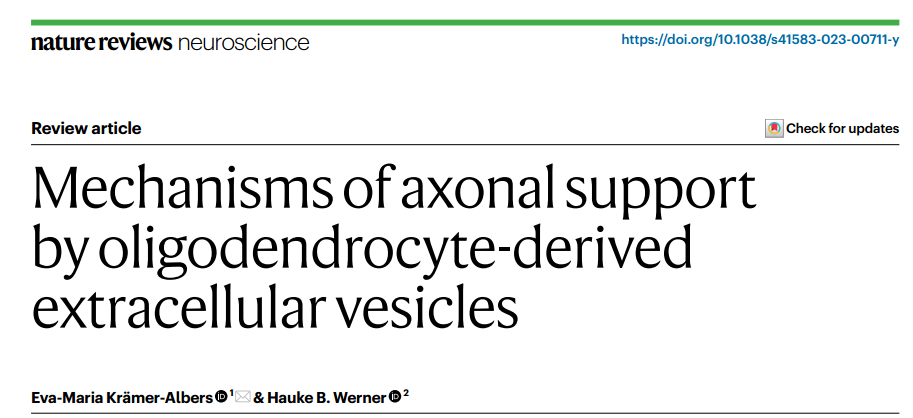 Nature子刊综述：少突胶质细胞EVs对轴突支持的机制