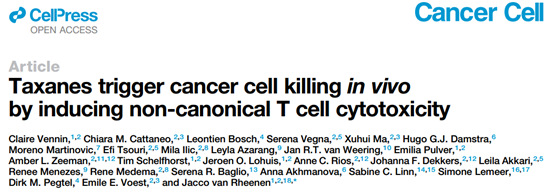 ​Cancer Cell：紫杉烷诱导T细胞释放细胞毒性EVs触发体内癌细胞杀伤