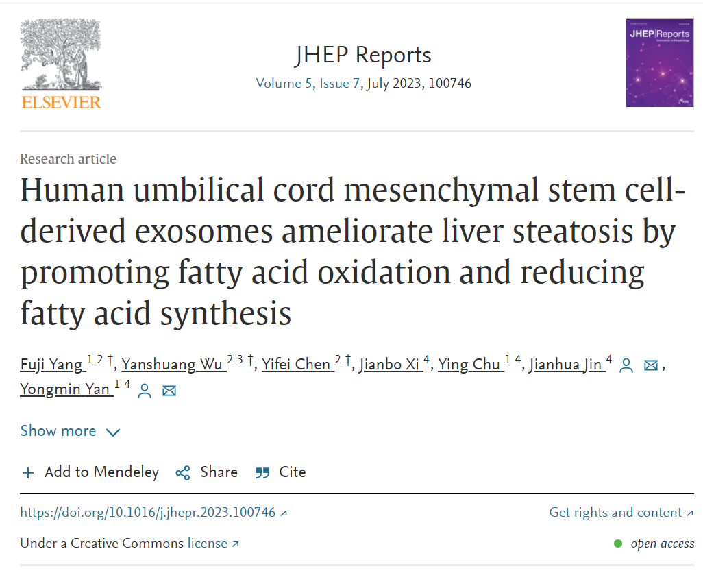 JHEP Reports|江苏大学附属武进人民医院严永敏：人脐带间充质干细胞衍生的外泌体可能为治疗肝脏损伤提供了一种有希望的策略