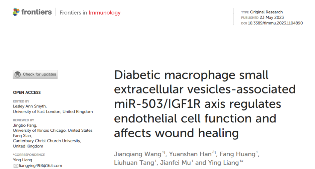 Front Immunol|中南林业科技大学梁盈：糖尿病巨噬细胞外小囊泡miR-503/IGF1R轴调节内皮细胞功能影响伤口愈合