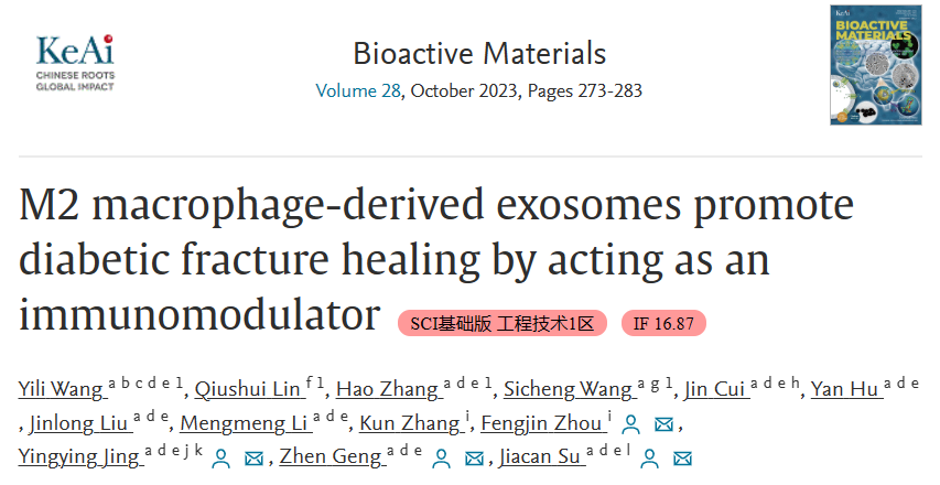 Bioactive Materials|上海大学转化医学研究院苏佳灿：M2型巨噬细胞来源外泌体通过免疫调节促进糖尿病骨折愈合