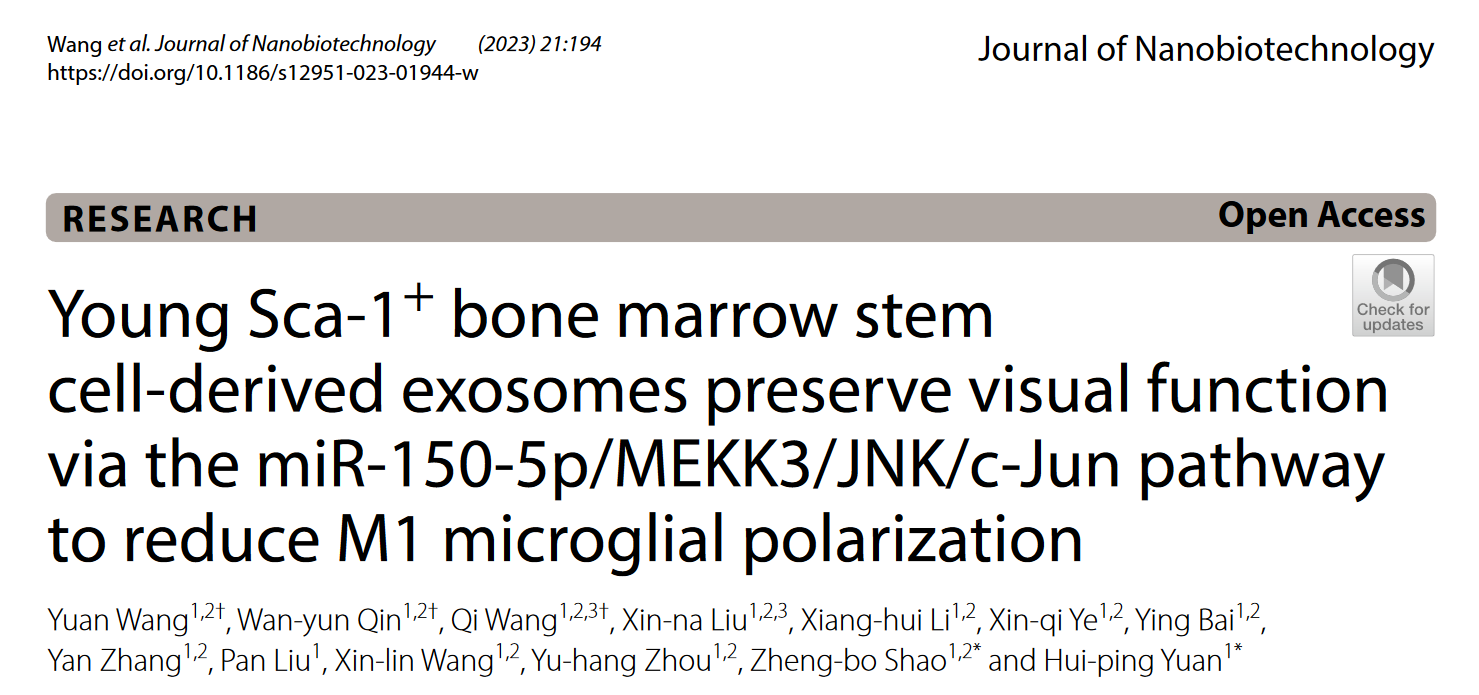 J Nanobiotechnology | 哈尔滨医科大学附属第二医院眼科邵正波教授、原慧萍教授团队：年轻Sca-1+骨髓干细胞来源外泌体通过miR-150-5p/MEKK3/JNK/c-Jun通路减少视网膜M1型小胶质细胞极化维持视功能