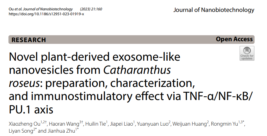 J Nanobiotechnology | 暨南大学：长春花来源外泌体样纳米囊泡通过TNF-α/NF-κB/PU.1轴刺激免疫