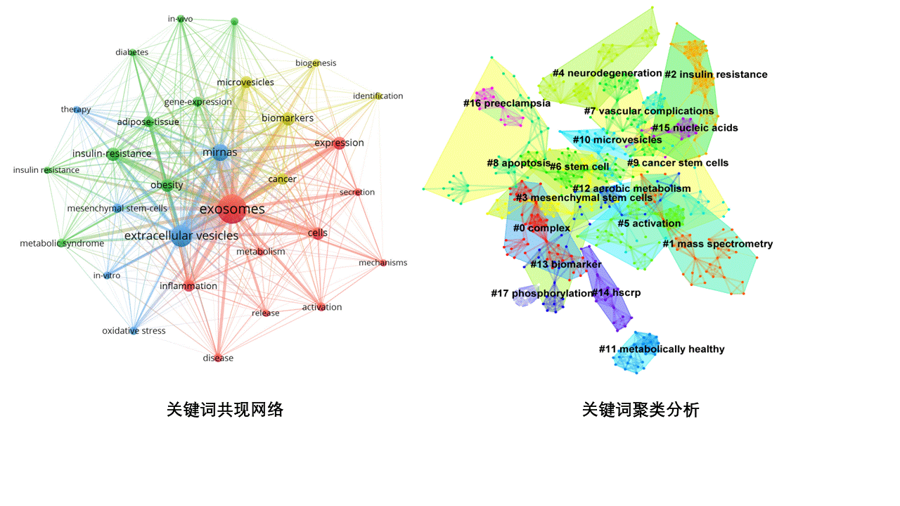 Front Endocrinol (Lausanne)|北京医院黄秀清/窦琳：通过文献计量学分析描绘代谢性疾病中外泌体的知识图谱