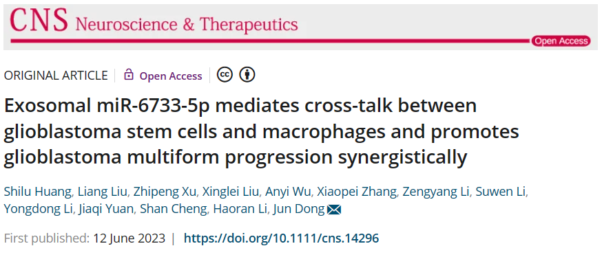 CNS Neurosci Ther︱苏州大学董军团队发现胶质瘤干细胞调控巨噬细胞极化新机制