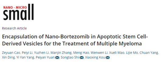 Small | 中山大学寇晓星/施松涛/袁佩妍团队:凋亡干细胞衍生囊泡装载纳米硼替佐米中治疗多发性骨髓瘤