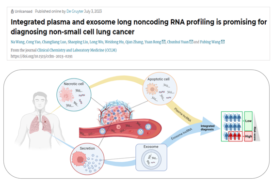 Clin Chem Lab Med | 基于外周血游离核酸与外泌体分子谱的整合诊断模型为NSCLC诊断提供新视角