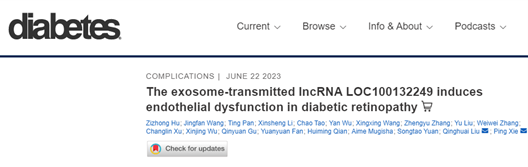 Diabetes | 南京医科大学一附院眼科谢平/刘庆淮：外泌体传输的lncRNA诱导糖尿病视网膜病变的内皮功能障碍