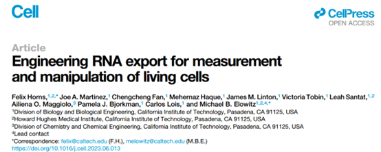 【Cell】重磅：工程化的RNA分泌方案用于活细胞监测与RNA递送