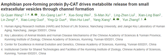 Zool Res|昆明动物研究所张云/南昌大学向阳团队：两栖动物孔道形成蛋白βγ-CAT通过形成通道驱动小细胞外囊泡代谢物释放