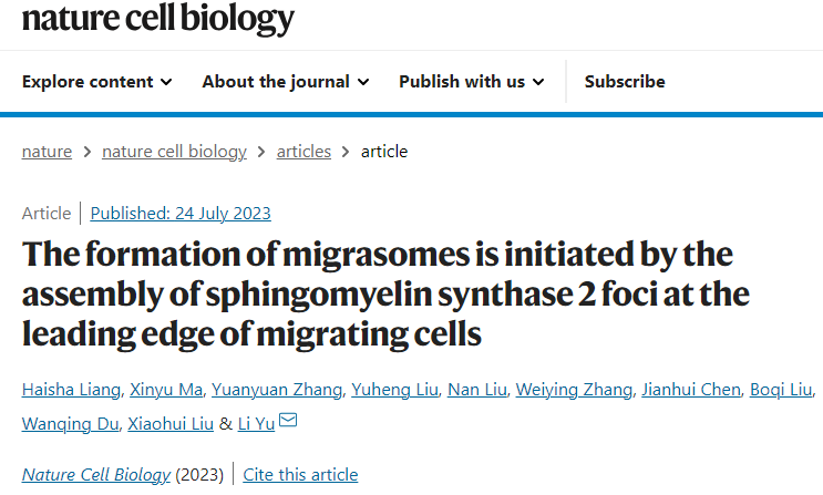 Nat Cell Biol：俞立团队揭示迁移体形成机制——鞘磷脂合成酶2（SMS2）