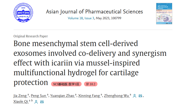 Asian J Pharm Sci | 中国药科吴正红/祁小乐团队：水凝胶介导的外泌体与淫羊藿苷共递送系统用于骨关节炎治疗