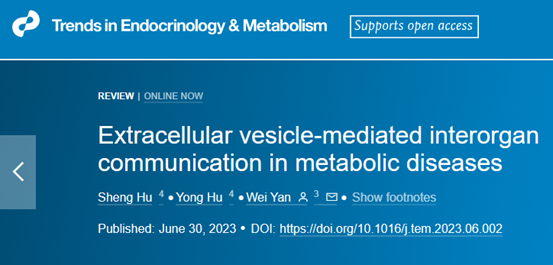 【综述】Trends Endocrinol Metab丨代谢性疾病中细胞外囊泡介导的器官间通讯