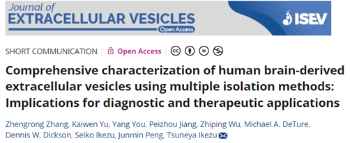 JEV: 比较不同分离方法对脑组织来源细胞外囊泡的分离情况
