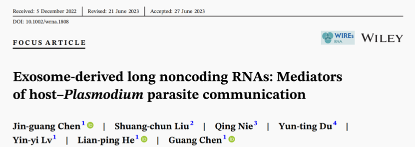 Wiley Interdiscip Rev RNA｜台州学院医学院：外泌体源长链非编码RNA介导宿主与疟原虫间信息传递