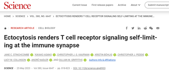 【Science】胞吐作用使TCR信号在免疫突触处自限，从而实现连续杀伤