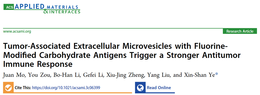 ACS Appl. Mater. Interfaces｜北京大学药学院叶新山：含非天然糖抗原的胞外微囊泡在抗肿瘤免疫治疗中的应用