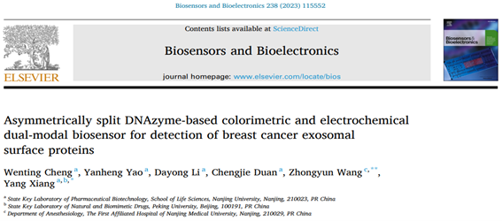 Biosens Bioelectron│南京大学项阳教授课题组：一种基于不对称撕裂DNAzyme的乳腺癌外泌体蛋白双模式检测平台